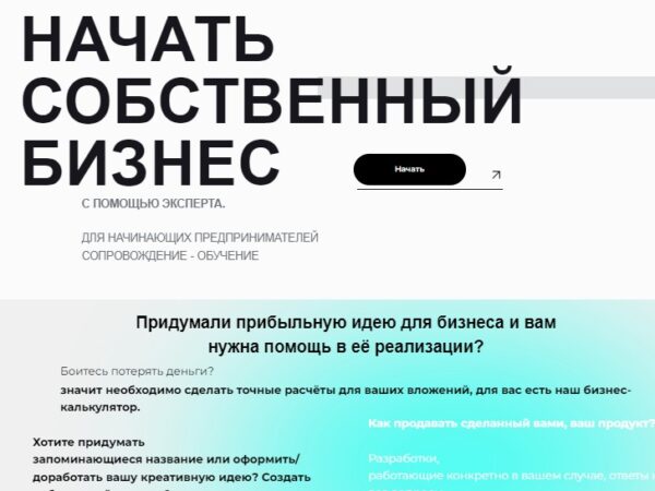 [Алина Кириллова] Стартап. Открытие бизнеса с нуля (2023)