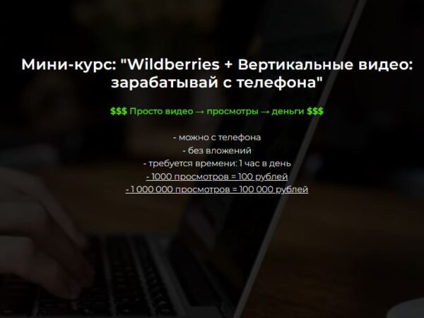 [Александр Пуминов] Wildberries + Вертикальные видео зарабатывай с телефона (2026)